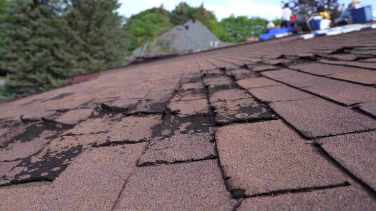 Best Storm Damage Roof Repair  in Buzzards Bay, MA